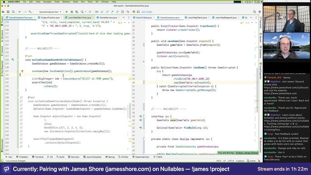 Nullables Livestream #13: Database Denouement смотреть онлайн