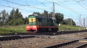 «Два Чеха и Ласточка». Поезда на станции Бужаниново (3.08.2020)