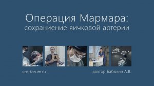 Операция Мармара: яичковая артерия
