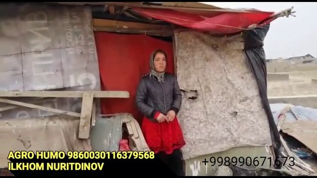 СРОЧНО ТАРКАТИНГ❗️ ДАХШАТ ШУ ХАРОБАДА БУ ОИЛА КАНДАЙ КУН КУРАЯПТИ? смотреть онлайн