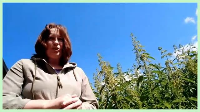 Летнее творческое занятие «Прогулка со сказкой Г.Х. Андерсена. Гербарий», педагог Сударева О.В.