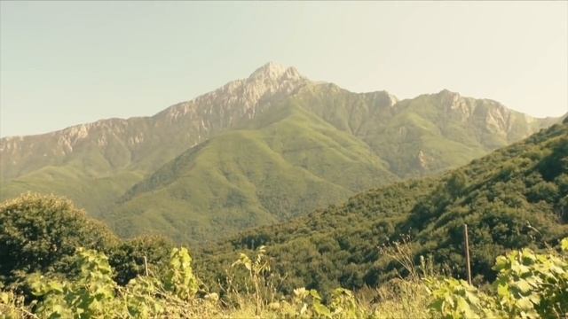 Почему болеют дети? Болезнь и комфорт смотреть онлайн