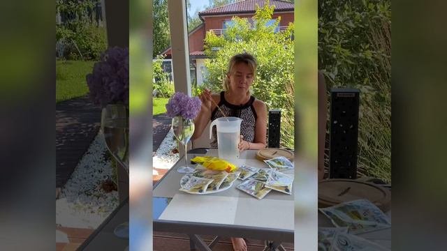 Пышная гортензия