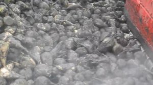 Уборка сахарной свеклы урожая 2013