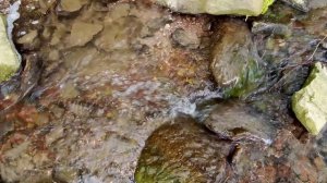 Шум бурлящего ручья