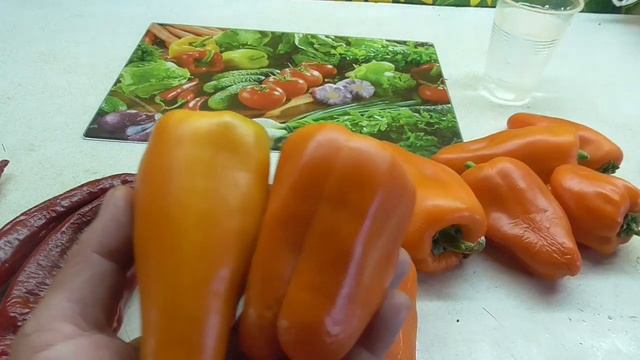 О ЗАГОТОВКЕ СЕМЯН ПЕРЦА ПОДРОБНО. Ольга Чернова. смотреть онлайн