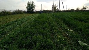 Покос травы мотоблоком с адаптером