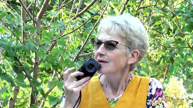 С благодарностью о спонсорах и партнерах фестиваля Сады и Люди 2018 смотреть онлайн