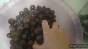 Компот из домашнего винограда