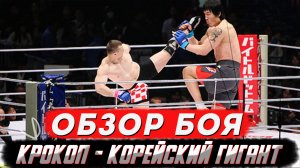 Как Мирко Крокоп дрался с гигантским бойцом и чем это кончилось