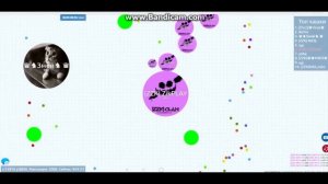 |ZZK|-CLAN◆Agar.io vs PetriDish ✌ Агарио против Чашка Петри ✌