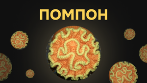 Помпон для шапки