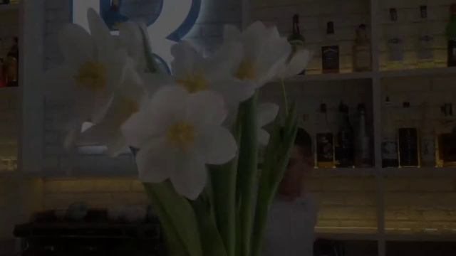 ?Куда пойти в Одессе? Завтрак в BENEDIKT ? ОТМЕЧАЕМ 8 МАРТА ? смотреть онлайн