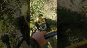 чемпион lmh 5640 за работой. от травы 150см остаются куски 10см и меньше!!(1)
