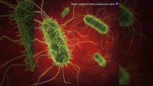 Что такое Гайморит? Пазухи носа в VR