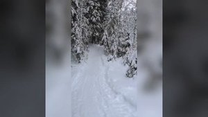 Стелс ставр. Едем на рыбалку!