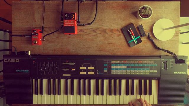 Casio SK-2100 (1987) - Nostalgic sample textures [Boss RC-1 & Hall of Fame 2 Mini] смотреть онлайн