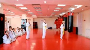 Taekwondo WTF. Аттестация на желто-зеленый пояс. Тхэквондо