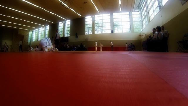 Елена Зенкевич на турнире Неваза Париж 2015 смотреть онлайн