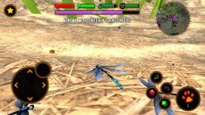Dragonfly Simulator Android Gameplay HD