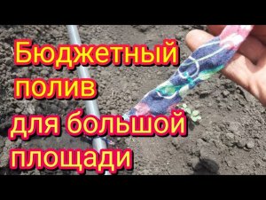 Как можно сделать бюджетный полив, для большой площади.