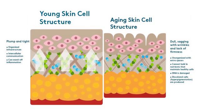 The Latest Science To Extend Lifespan смотреть онлайн