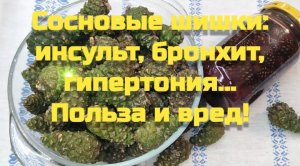 Сосновые шишки - полезная настойка! Сироп из сосновых шишек своими руками. От кашля и простуды.