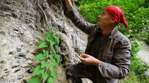 О белых грибах, очень полезно грибнику!