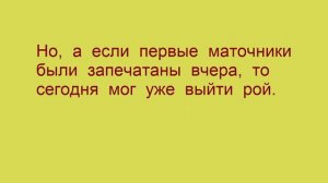 Как узнать, что семья пчел отроилась