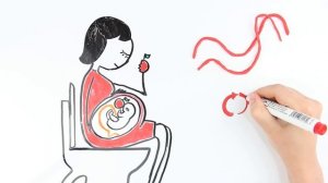 Зачем нужен пупок?