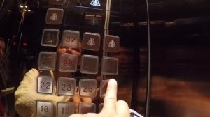 Хайнань. Как попасть на ДОМА-ДЕРЕВЬЯ ???