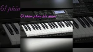 Casio CT-X800