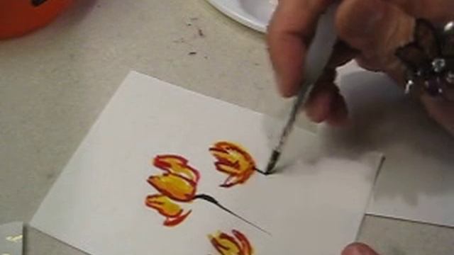 Tulip