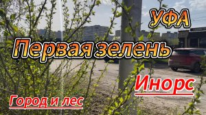 Уфа. Инорс, прогулка в жаркое апрельское утро из города в лес, весна 2024