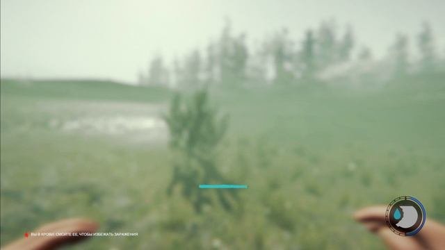 выживаем в The Forest