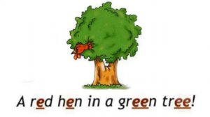 Spotlight 2 p.36 ex.2