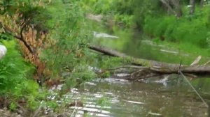 Дорога на Среднюю Терсь