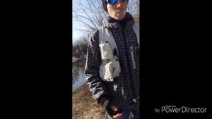 Graphiteleader finezza corto 682ul-s спиннинг для микроджига