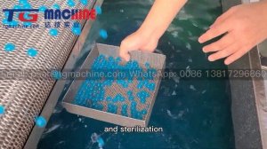 What is popping boba machine? Introduction of full auto popping boba making machine