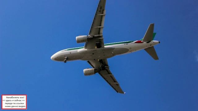 Отдых в Крыму гаспра. смотреть онлайн