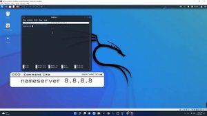 Fix Kali Linux Internet Connection - Browser Not Working