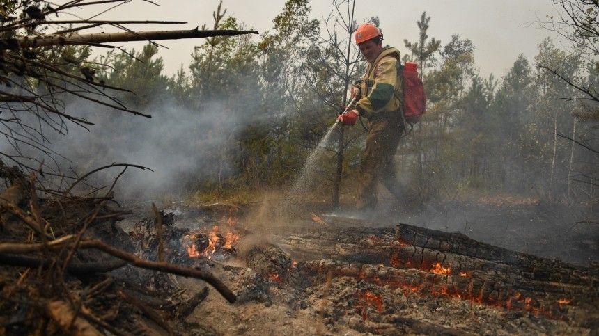 Названы главные сложности в борьбе с лесными пожарами в Рязанской области