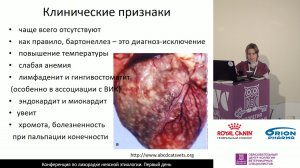 Радюк Е. В. - Бартонелла - кто она.