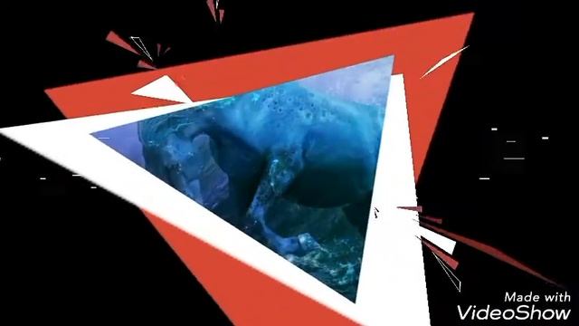 Красивые картинки лошадей. смотреть онлайн