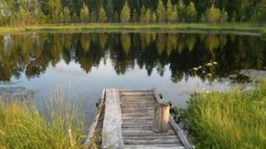 Утро в деревне: Тимошино (Бабаевский район)