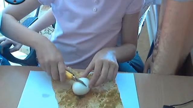 что в нутри яйца которое пролежало 3 дня в уксусе смотреть онлайн