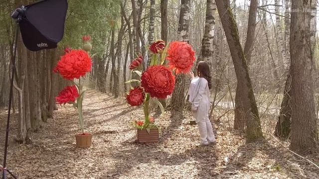 Ростовые цветы. Практическое применение.