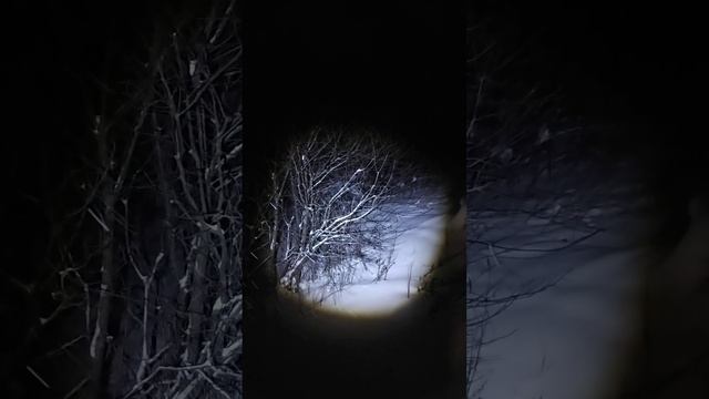 РЕКОМЕНДУЮ АНЕКДОТ. ВАСЯ. смотреть онлайн