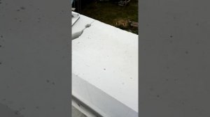 Дом из газобетона "Сибит" на клей пену. + и -.