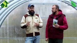 В ГОСТЯХ У ДМИТРИЕВА САДА: как всё успевать в саду и огороде на целом гектаре? А как отдыхать?